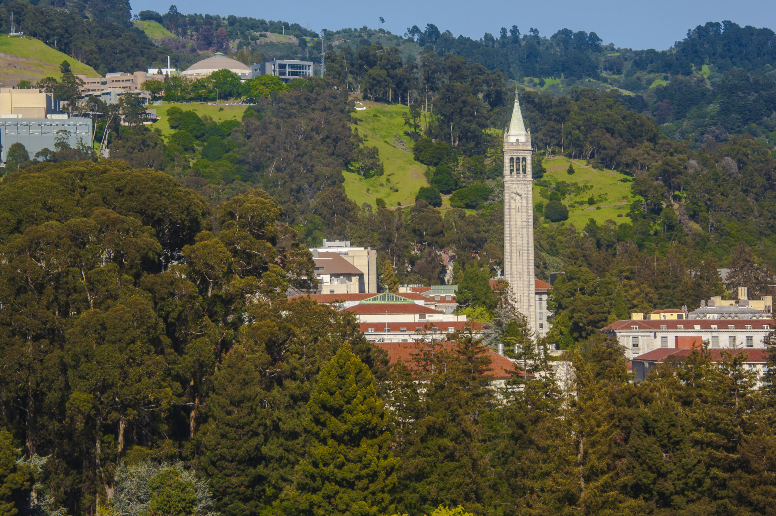 What s Going On At UC Berkeley Law